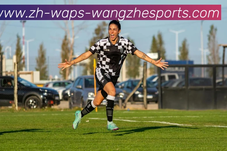 王者体育APP 封面图